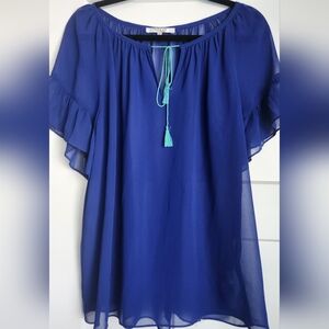 0042.  Milly Sheer Blouse, Blue, Large